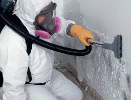 Best Asbestos and Lead Testing During Mold Inspection  in Delta, CO